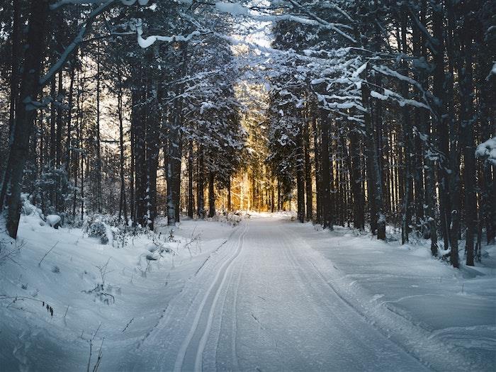 žiemos tapetai, apsnigtas takas miške, šviesa fone, kalnų peizažas