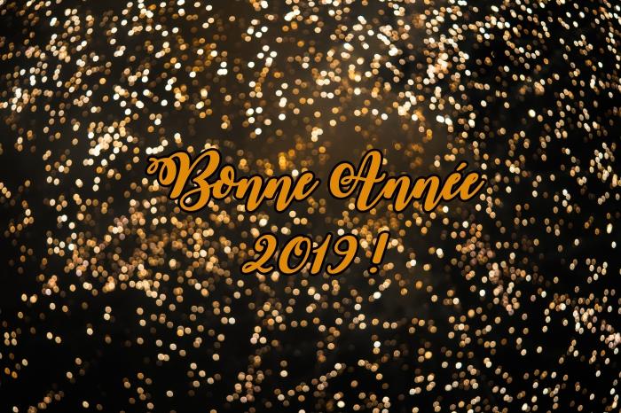 praznovanje konca leta 2019, fotografiranje ognjemeta z besedami srečno novo leto, srečno novo leto 2019 slika
