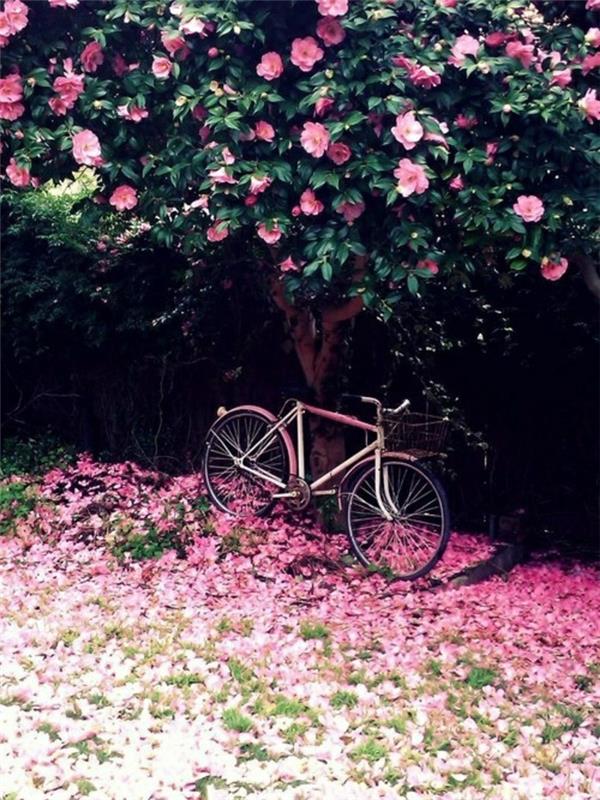 pavasario-peizažo-tapetai-pamatyti-gėlės-ir-medžiai-įkvėpimas-grožis-rožinė