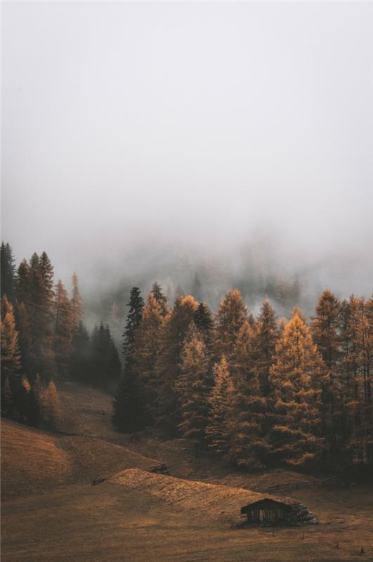 Lepa fotografija meglene gore, najlepše ozadje, elegantna in zen ideja za ozadje