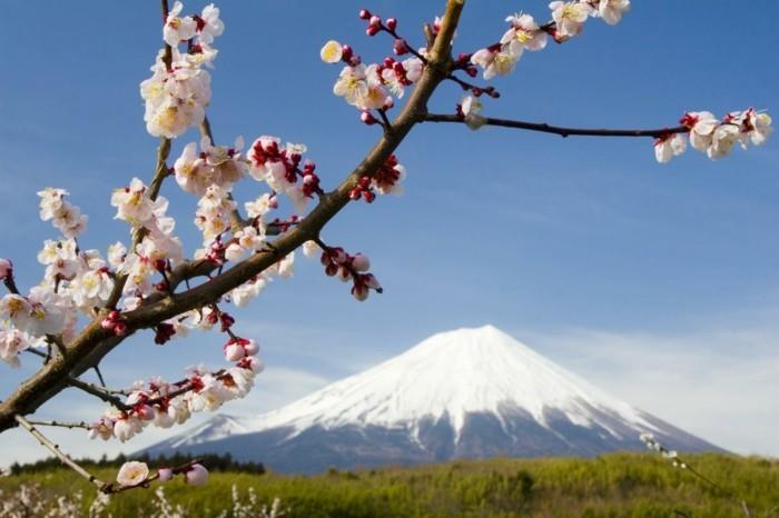 müthiş-sanatsal-fotoğraf-görüntüler-çok güzel-japan