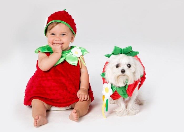 Očarljiva punčka v kostumu jagode in njen pes, preoblečen v jagodo, dekliški kostum za noč čarovnic, izviren otroški kostum