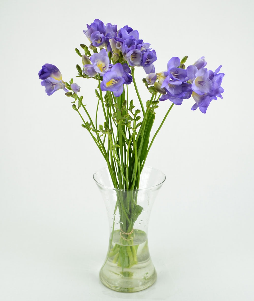 Un grazioso bouquet di fresie