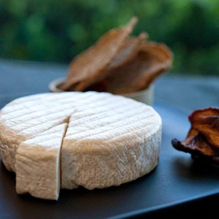 veganski-sir-camembert-rastlinsko-zdravi-veganski recepti