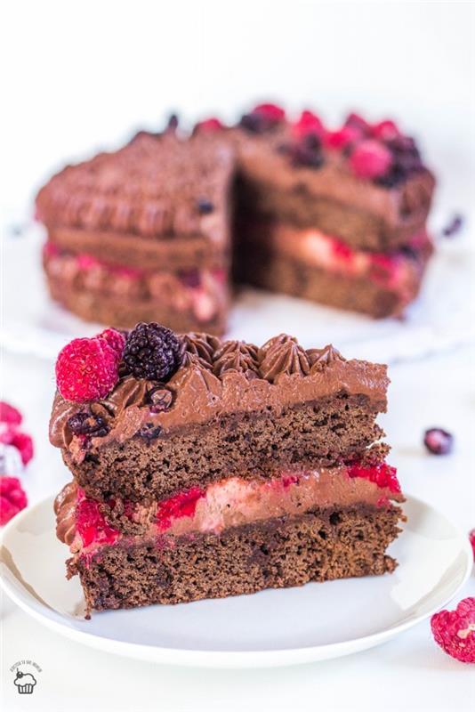 Idėja, kuris šviesus šokoladinis pyragas gimtadienio šokoladiniam pyragui paprastas skanaus pyrago gabalas iš visų šokolado ir miško vaisių