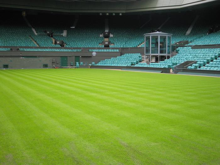 turf-in-the-english-stadium