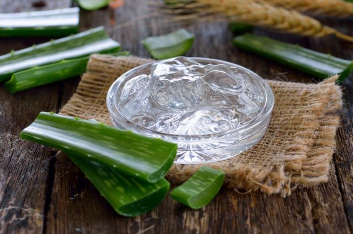 aloe vera jel özü yaprağı bitki tıbbi faydaları aloe vera kullanımı cilt bakımı aloe vera ile ne yapmalı