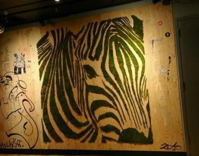 grafiti-izvirnik-in-ekološko-urbana-umetnost-rastlinski mah