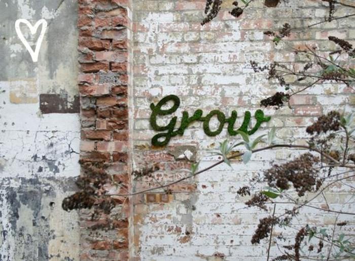 original-graffiti-vegetal-mah-na-opečni steni