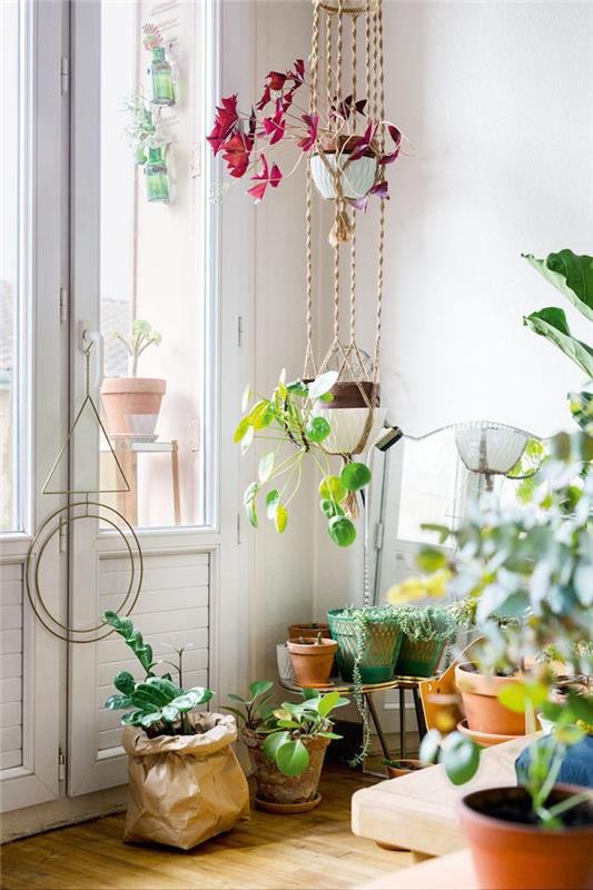 Düşen bitkiler, küçük yeşil bitki, Fransız pencere, bohem şık yatak odası, bohem tarzı yatak odası için bitki