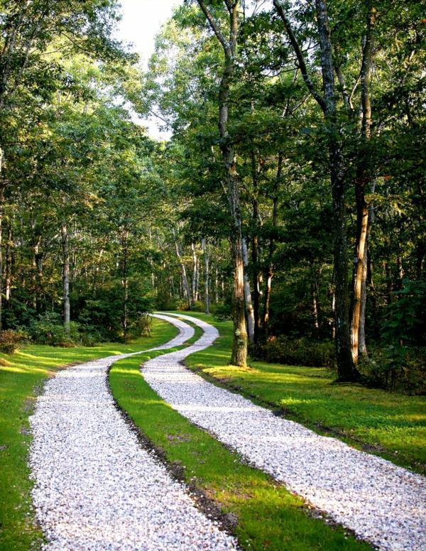 çakıl-for-alée-chemin-foret