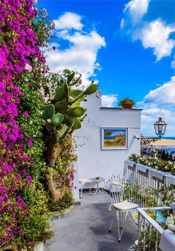 Yunanistan, kaktüslü ve çiçekli duvarlı bir villanın güzel manzarası, göksel manzara, yaz duvar kağıdı, güzel manzara