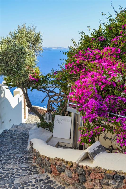 Yunanistan'da Oia Santorini küçük sokak, tumblr duvar kağıdı için güzel fotoğraf, yaz cenneti manzara duvar kağıdı