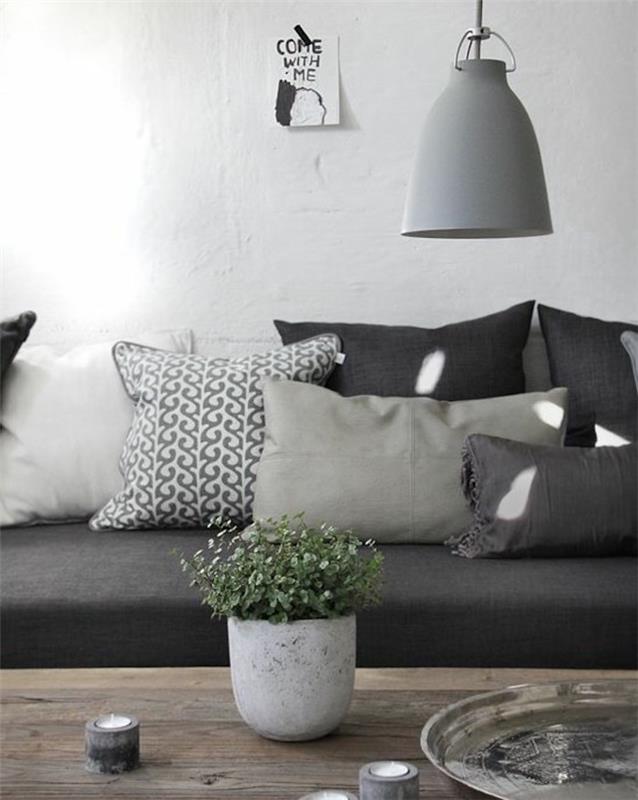keraminis vazoninis augalas, medinis stalas, pilka sofa, pilkų atspalvių pagalvės, akcento spalvos pilkai