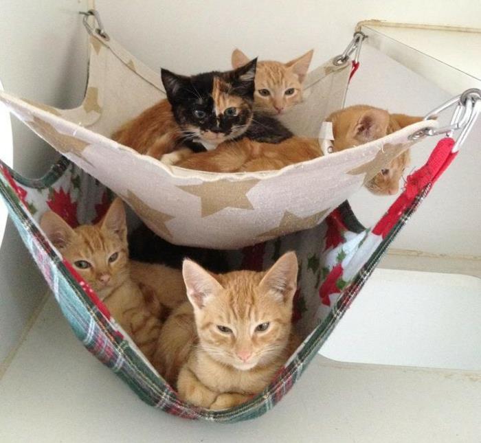 hamakas-katė-pagalvėlė-katėms-hamakas-radiatorius-katė-hamakas-lova-la-maison-plaine-de-chats