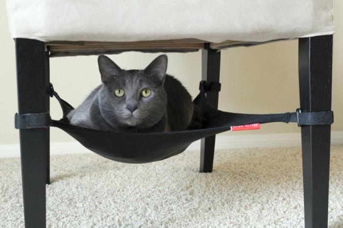 hamakas-katė-radiatorius-katė-medis-hamakas-naminis gyvūnas-juoda ir balta-po kėde