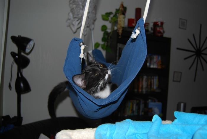 hamakas-katei-medžiui-katė-krepšelis-pagalvėlė-katėms-laimingas-katinas