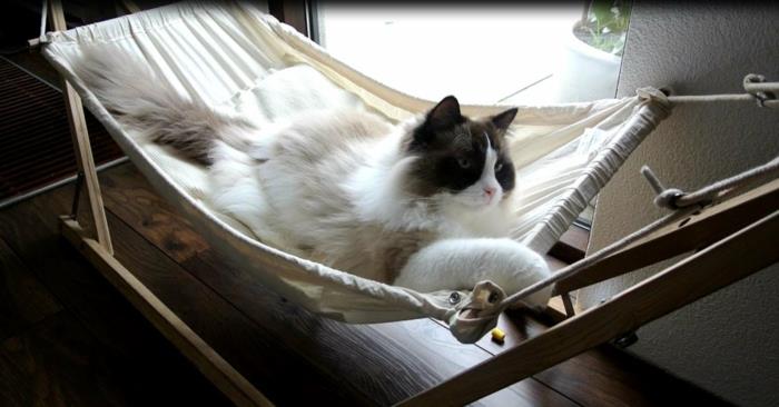 kedi-ağacı-kedi-sepet-yastığı-kediler-için-hamak-kedi-beyaz-siyah-için hamak
