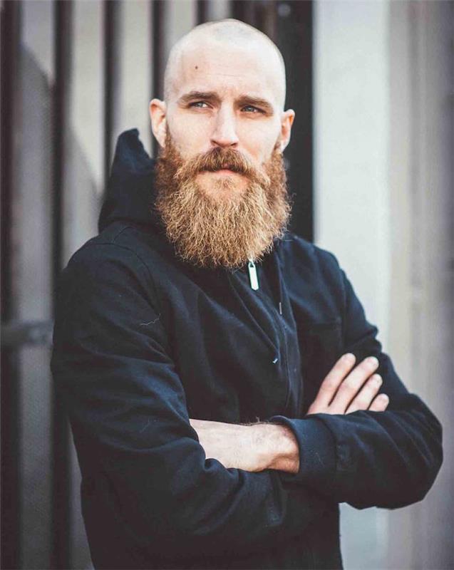 hipster v stilu brade s plešasto in bradato obrito glavo