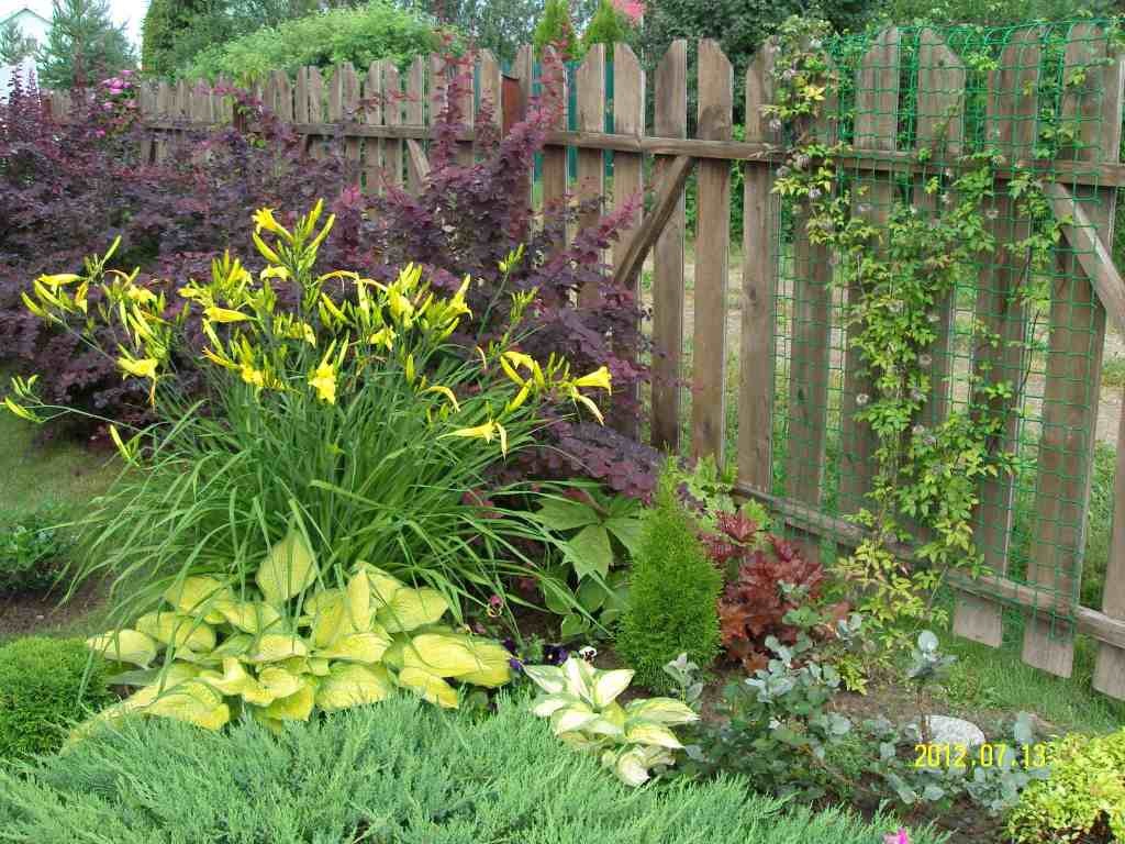 Hosta em composição com outras plantas