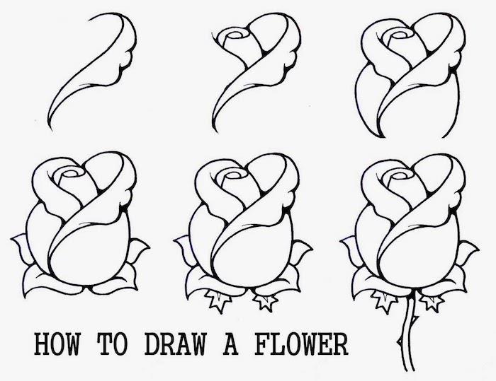 kako narisati rožo, risanje slik, korak za korakom, vadnica sam, črno -bela skica