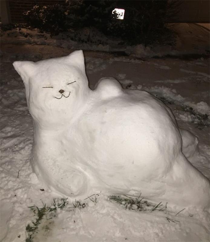 idėja, kaip pasidaryti sniego senio pelėdos kačiuką