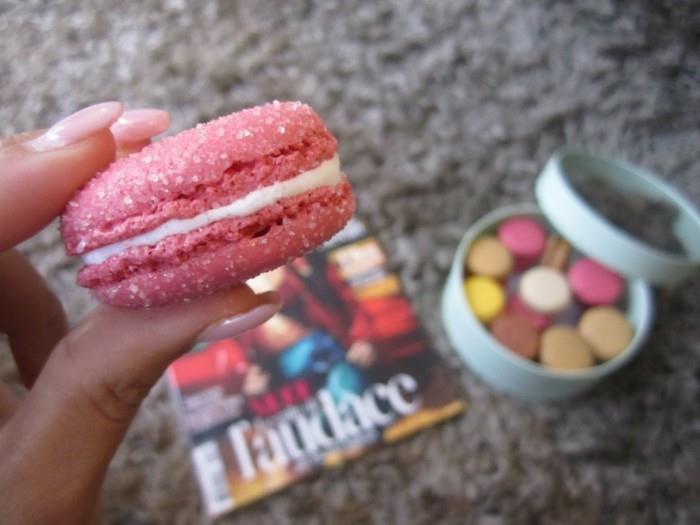 ideja-ohranjanje-macaroons-ladurée-desert-francosko-cool-darilo-malina