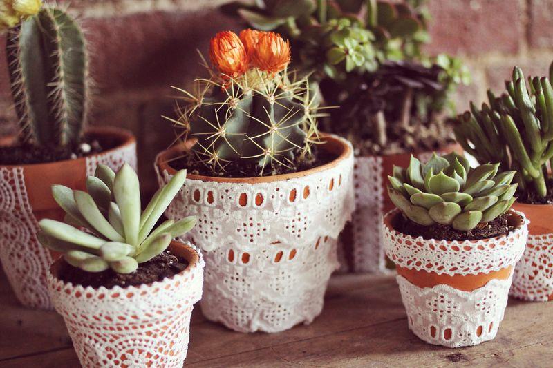 Ideja za poročni dekor DIY, lončki za rože iz terakote, čipke po meri, sukulenti in kaktusi