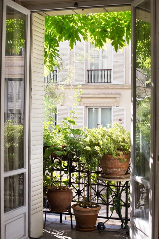preprost pogled na teraso, vetrič, primer majhne balkonske dekoracije z velikimi lonci in rastlinami iz terakote