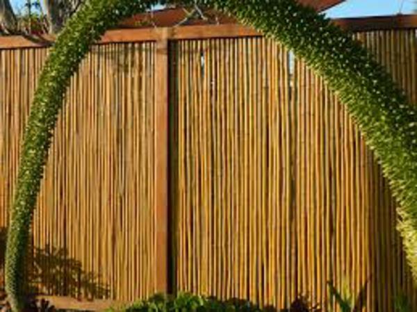 unikali-sodo-bambuko-pailisade-idėja