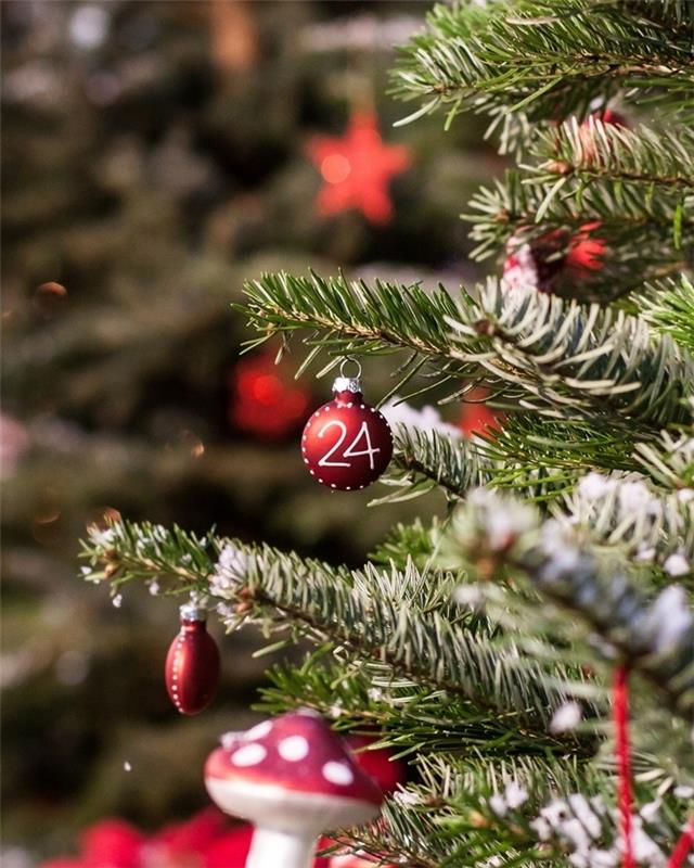 Kalėdų eglutės idėja snieguotos šakos raudonas Kalėdų rutulys baltas skaičius gamtos puošmena madingos spalvos
