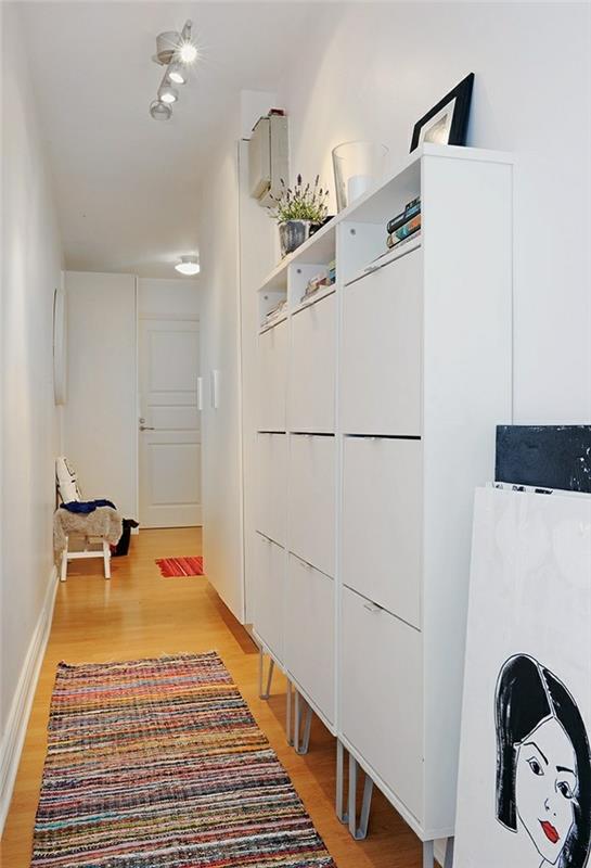 ideja-corridoio-stretch-mobile-legno-stile-moderno-pavimento-legno-colore-chiaro-tappeto-stile-etnico