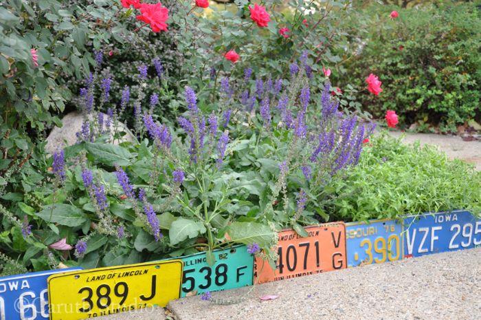 recikliranje barvitih registrskih tablic za ustvarjanje ustvarjalne vrtne meje in ločevanje gredice