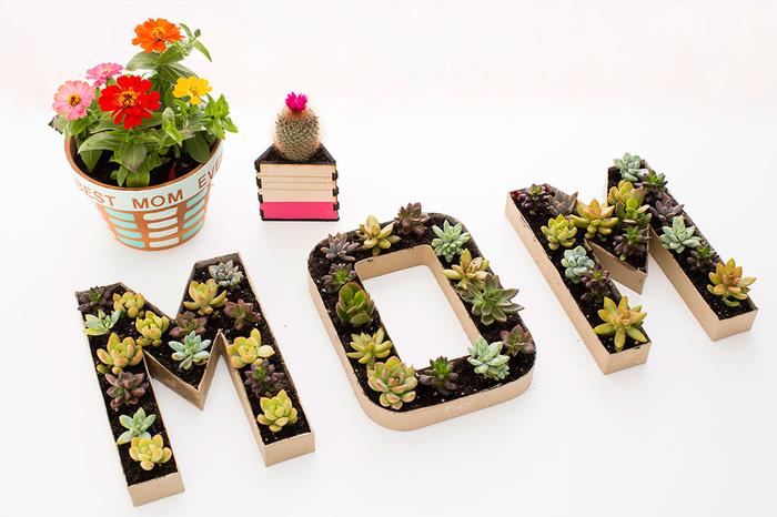 Ideja za materinski dan DIY za ženske, ki se navdušujejo nad vrtnarjenjem, prilagojeni lonci za rože
