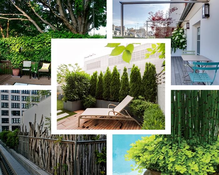 zamislite, kako okrasite svoj balkon ali teraso, skrito nasproti z rastlinami, rastlinsko steno, rastlino, vetrič, pogled na balkon in vrt