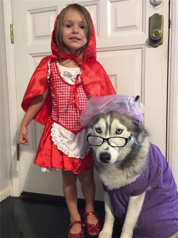 Rdeča kapica in njen pes, kot so kostum volka, deklice in psa, se zamislijo, kako obleči svojega otroka