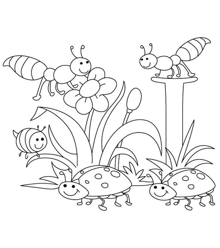risanje mravelj, čebel in pikapolonic, obdanih s cvetjem na belem ozadju, živalska barvna stran za tiskanje