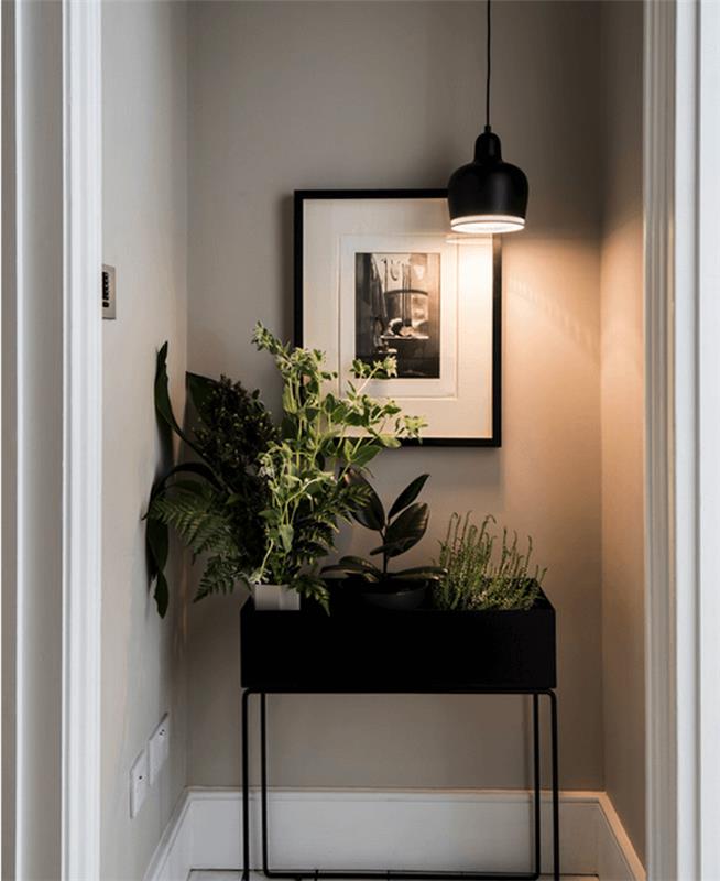 dekor na hodniku, barva strune, črni sejalnik z zelenimi rastlinami, črno vzmetenje, črno -beli stenski dekor