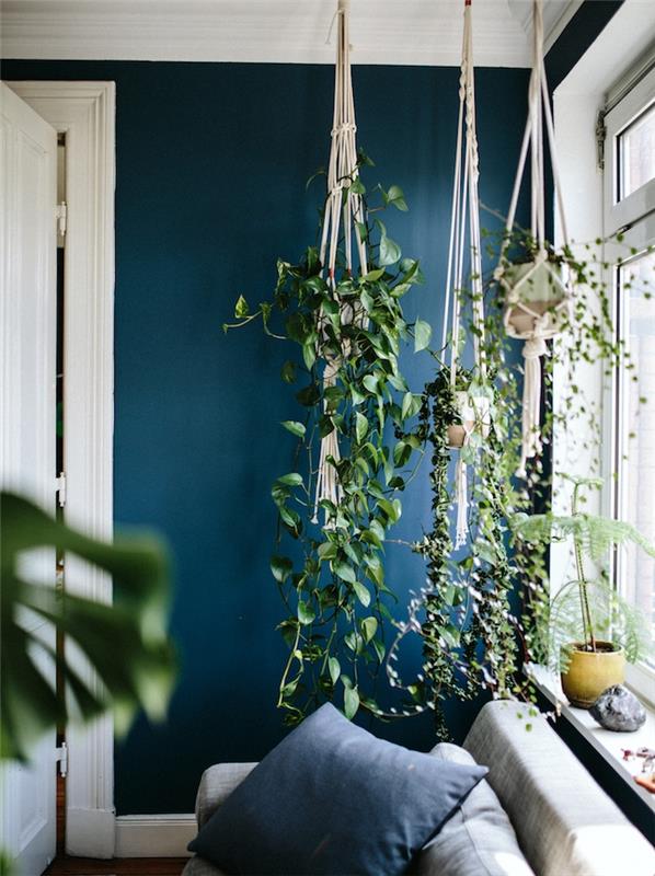 ančių mėlynas deko, tamsus naftos atspalvis, kabančių augalų vazonai, pilka sofa, papuošta tamsiai mėlynomis pagalvėlėmis
