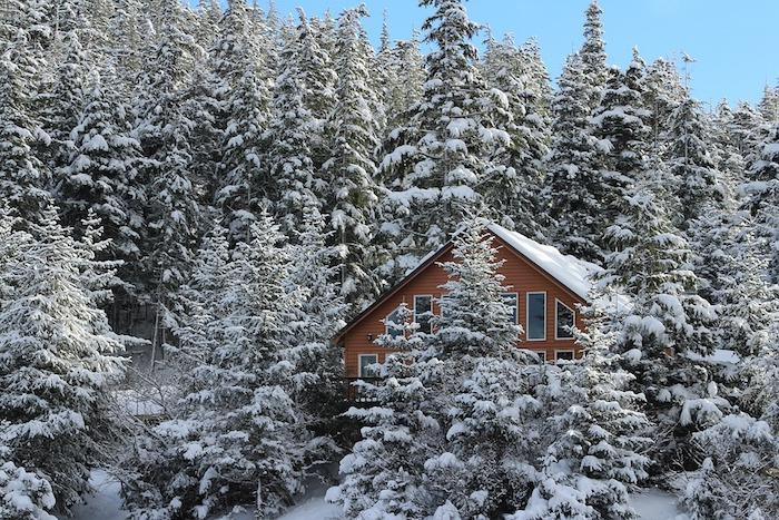 žiemos tapetai snieguotame kalne, spygliuočių miške, perkrauti sniegu, medinis kajutės namas