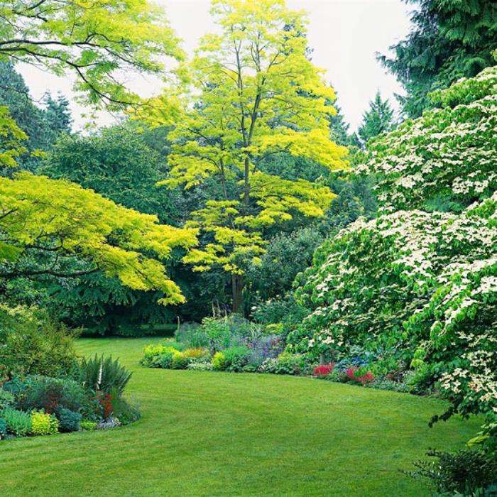 sodo deko idėja, veja su gėlynu pasienyje, žali vainikmedžiai, sutvarkytas sodas