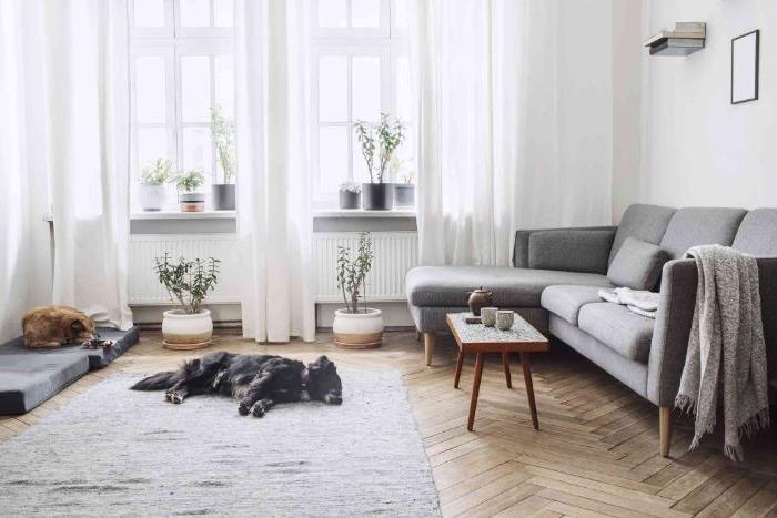 jauki minimalistinė svetainės dekoro idėja su „Chevron“ parketo pilku kilimu Skandinavijos pilka sofa daugybė gėlių vazonų baltos užuolaidos