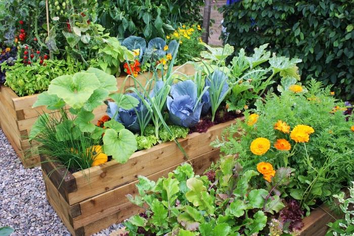 sodo dekoravimo idėja, daržovių sodas mediniame sodinuke, gėlių ir daržovių dėžutė, idėja, kaip sutvarkyti daržovių lopą