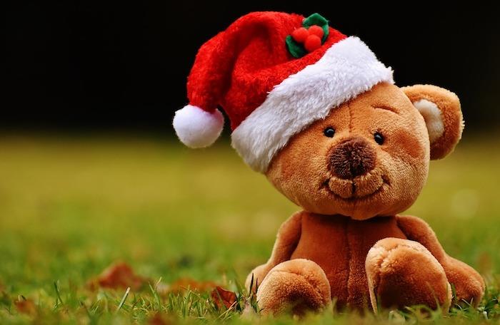 mielas meškiukas su raudona ir balta Kalėdų senelio kepure ant žolės vejos