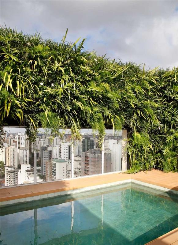 sodobno plavalno stezo, opremljeno na strešni terasi sodobnega dizajna s prepihom rastlin