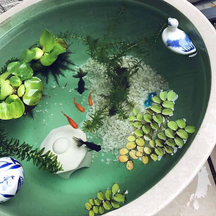 beyaz çakıl, balık bitkileri ve ördek figürinleri olan bir akvaryuma koyma fikri