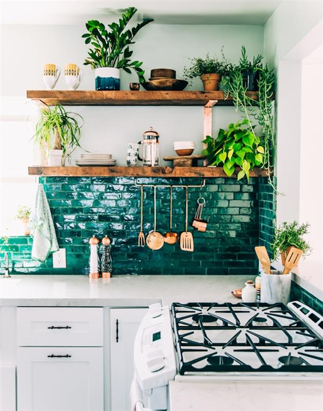 idėja, kaip perdažyti vandens spalvą žaliai, balta virtuvės priekinė dalis, senovinės rankenos, kaimiška medienos lentyna, augalai, vario spalvos indai