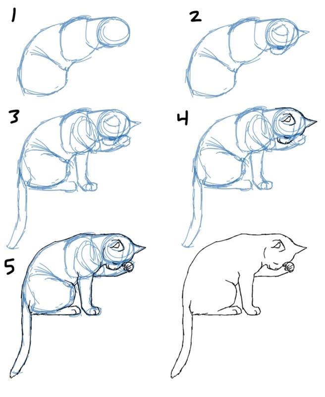 6 kolay adımda kurşun kalemle uyuyan kedi nasıl yapılır