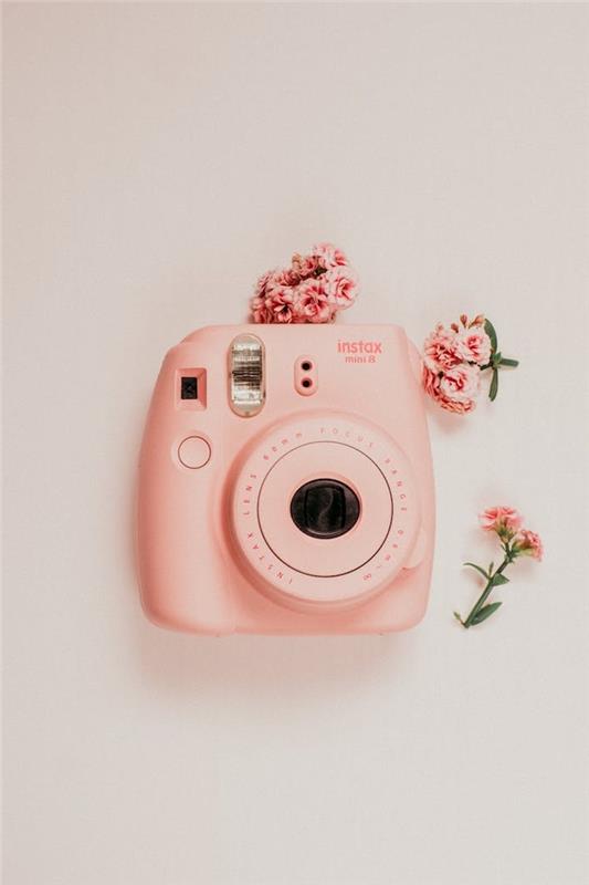 originalus instax mini fotoaparato vaizdas ir mažos gėlės baltai fone