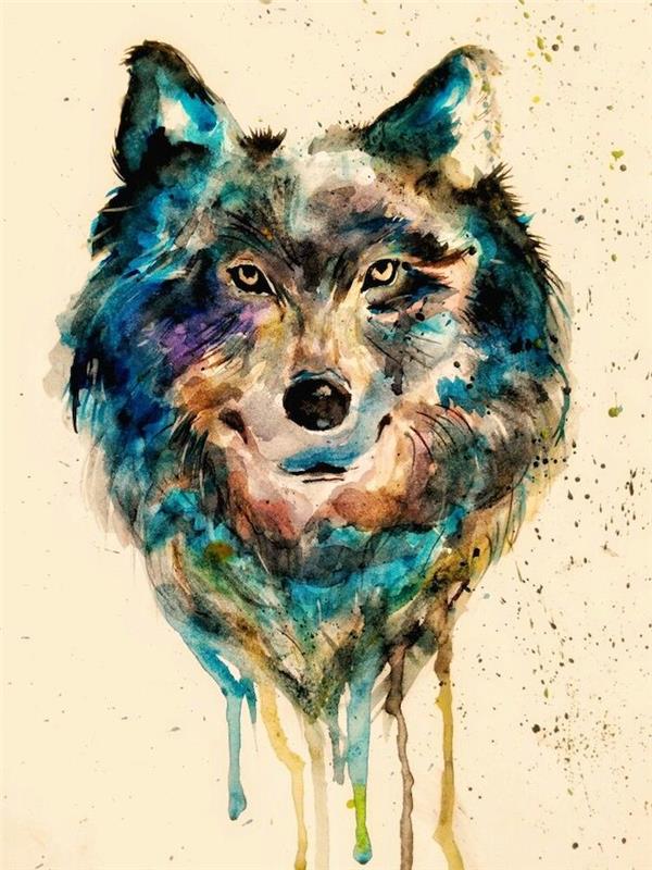 barvno risanje volka v barvi akvarel, razredčene barve barve, primer preproste risbe glave volka v različnih barvah